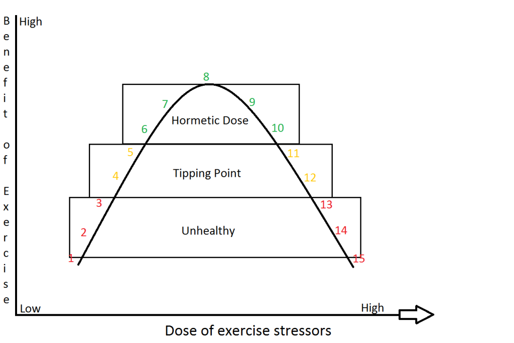Hormetic Dose to Exercise