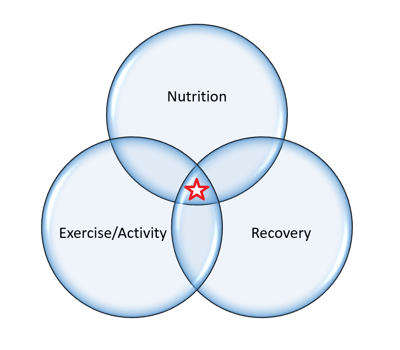 abs-ven-diagram