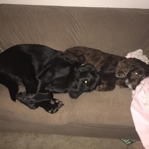 Tank and Ridge